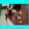 DSCN9126.JPG
